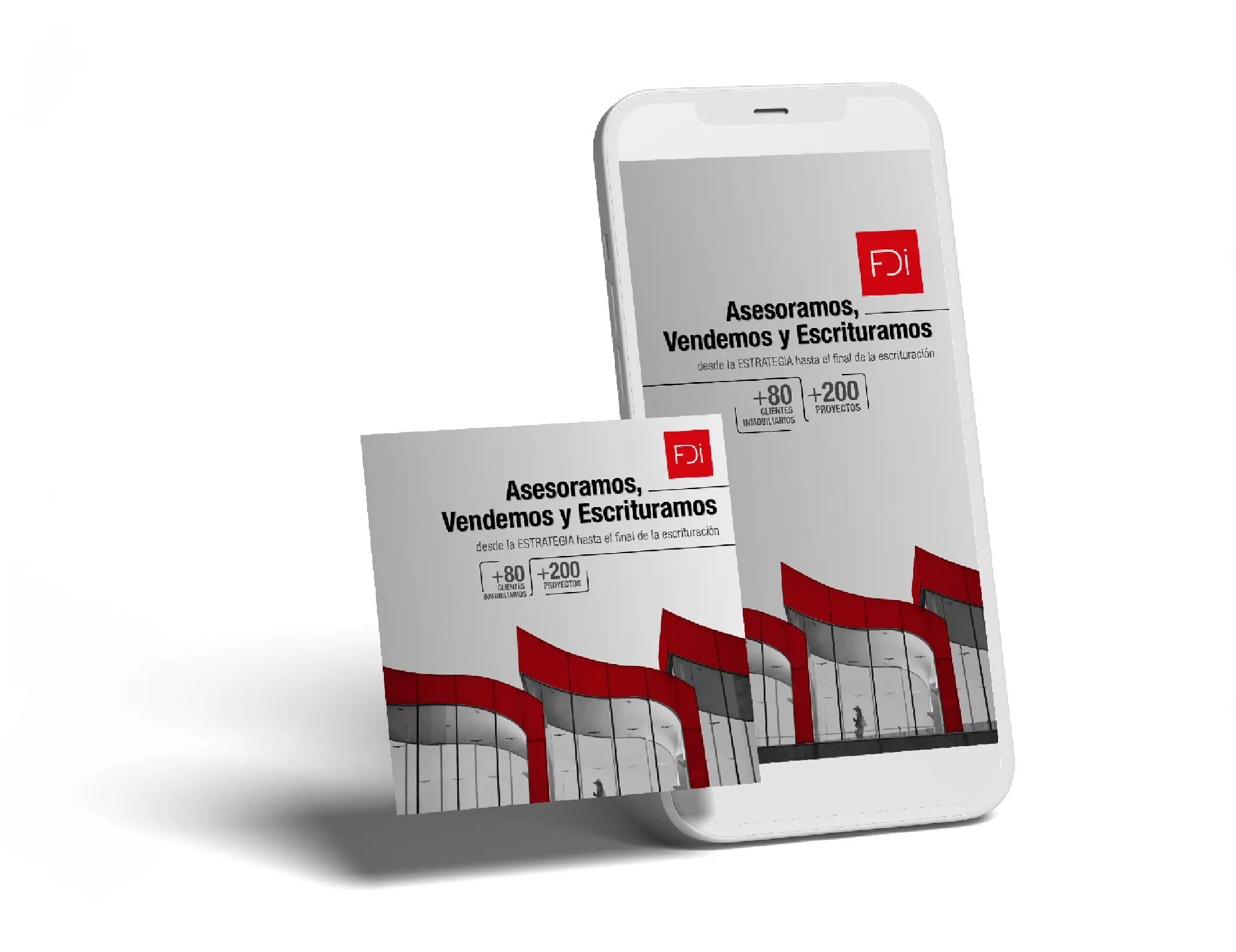 Portafolio La pATOTA