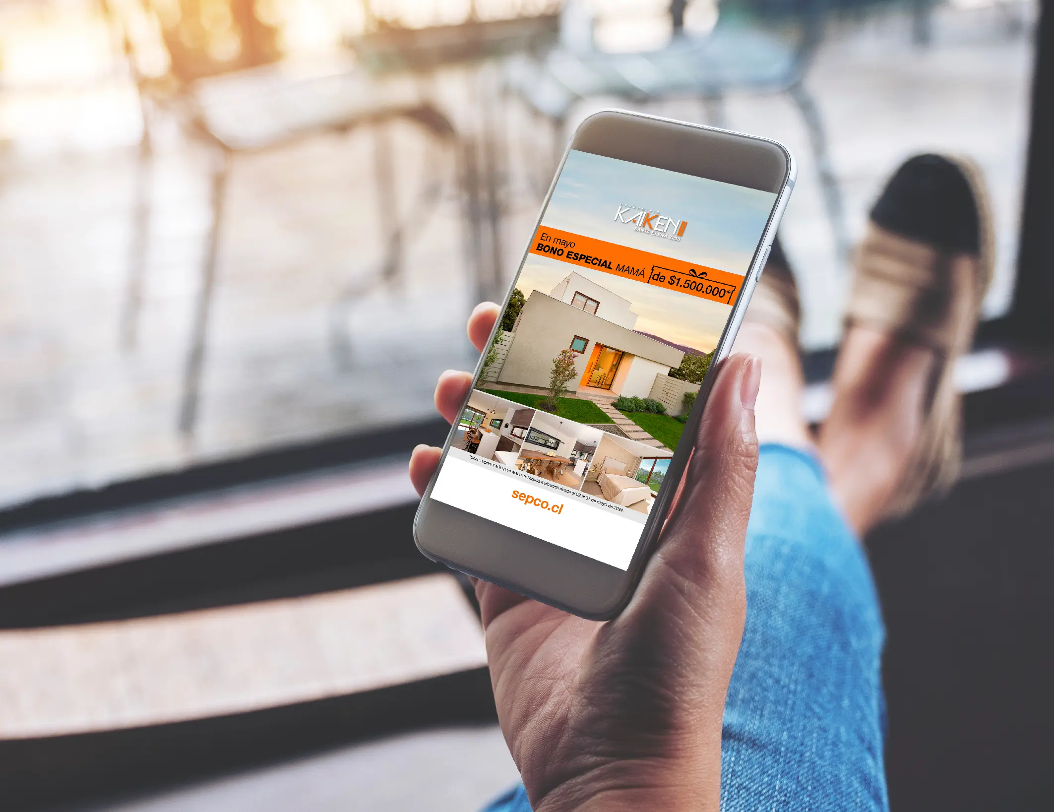 Portafolio La pATOTA