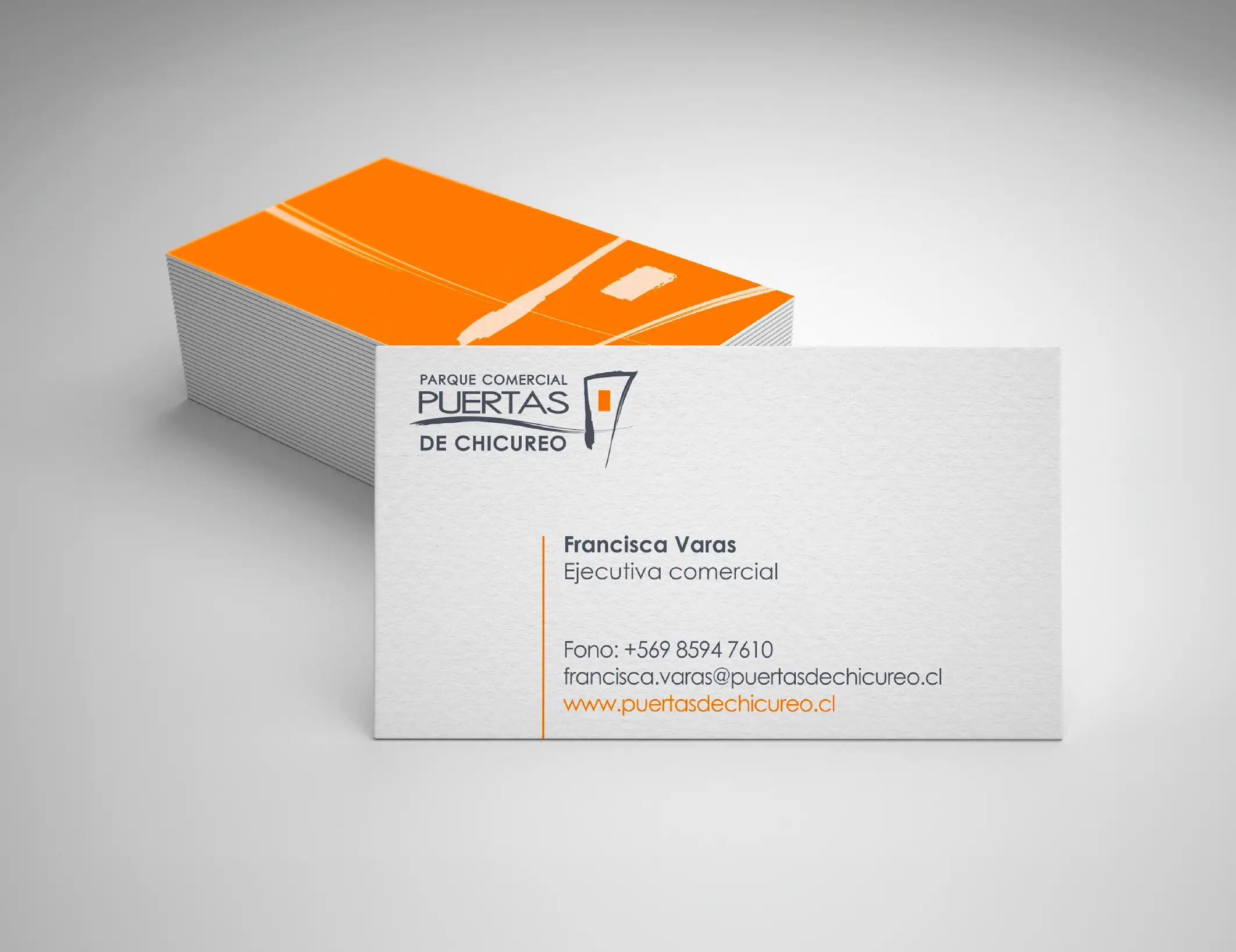 Portafolio La pATOTA