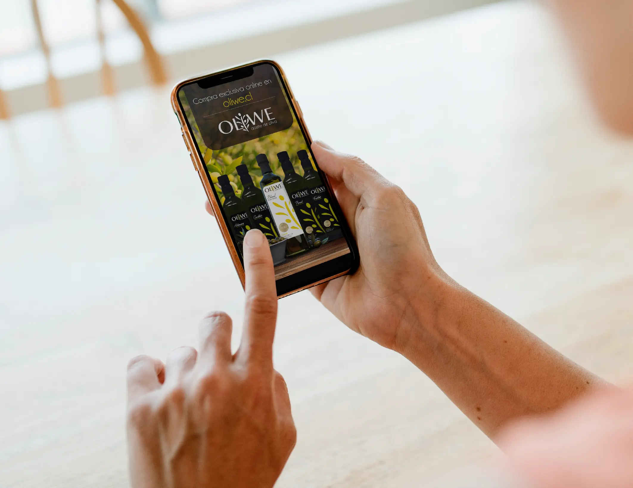 Portafolio La pATOTA