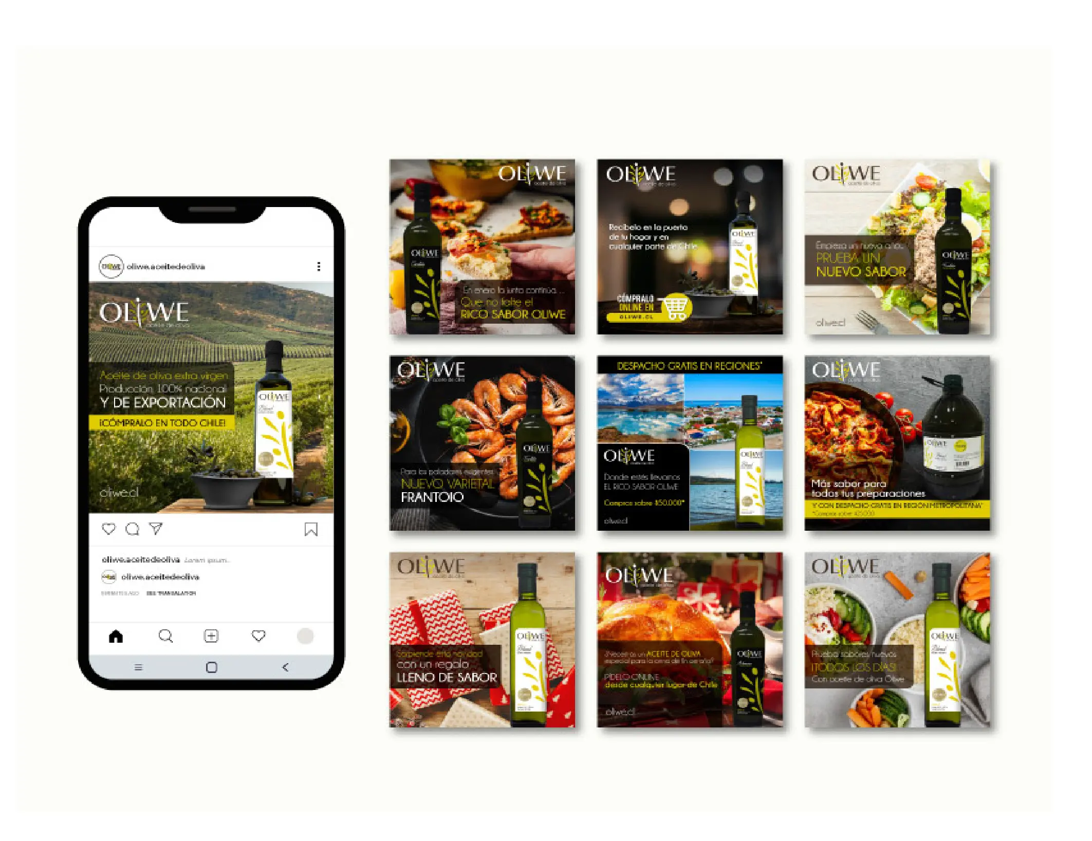 Portafolio La pATOTA