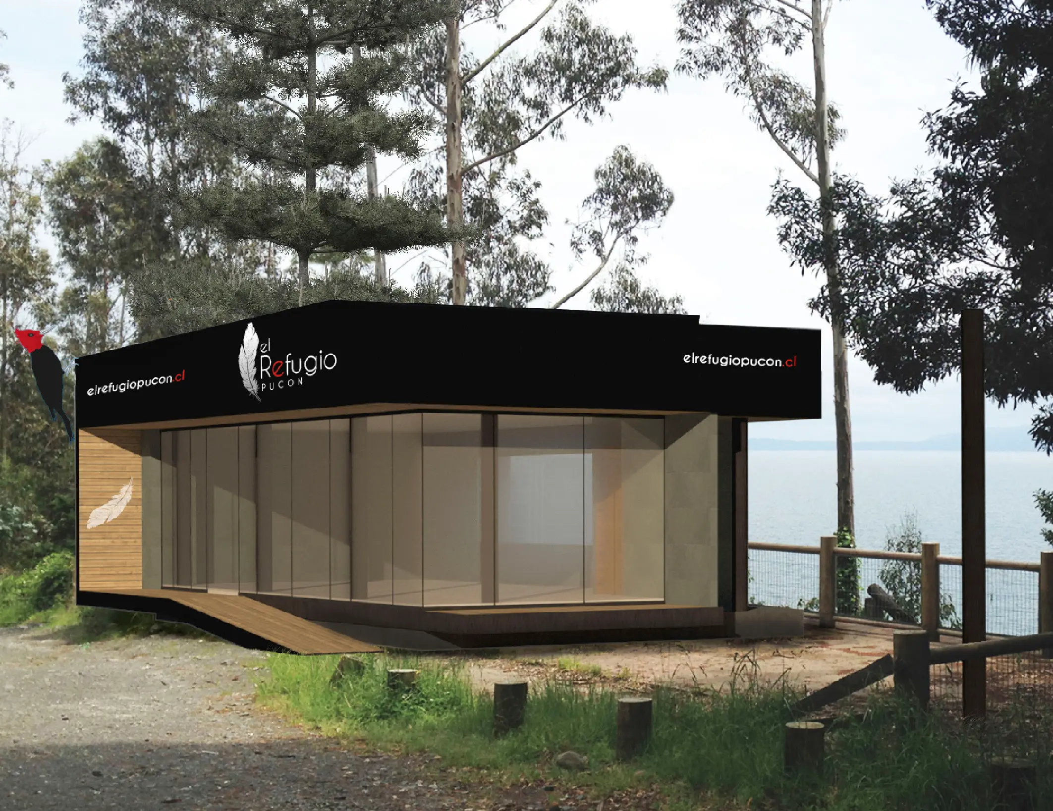 Portafolio La pATOTA